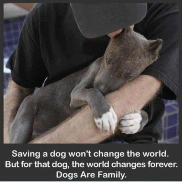 Welcome to the Robin's Nest - Picture 12 of 16